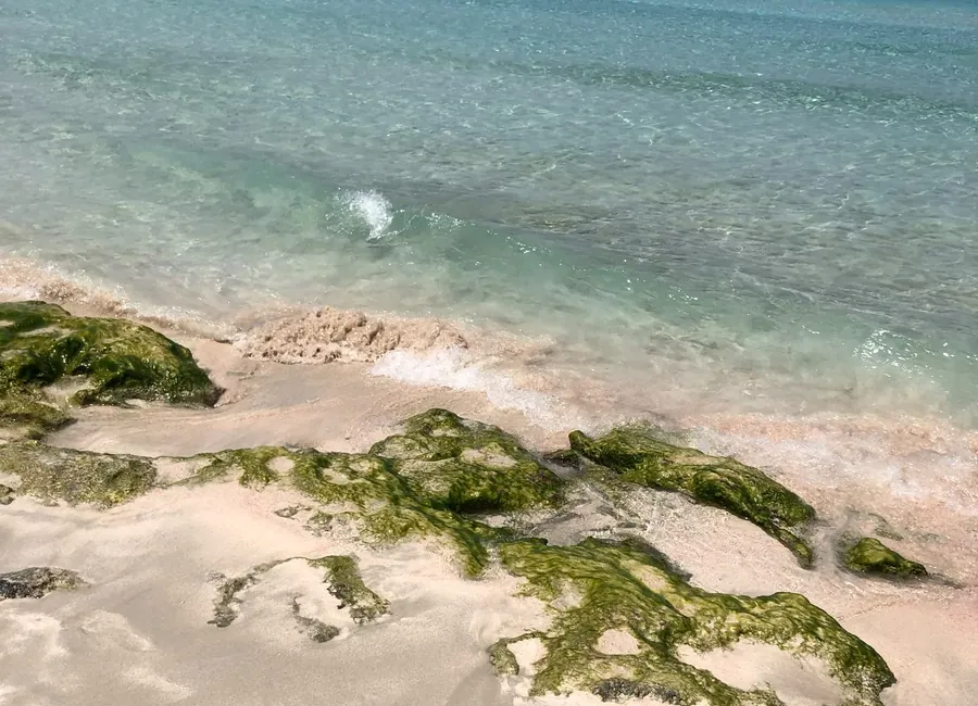 Crystal-clear turquoise water and fine sand on a beach on Formentera