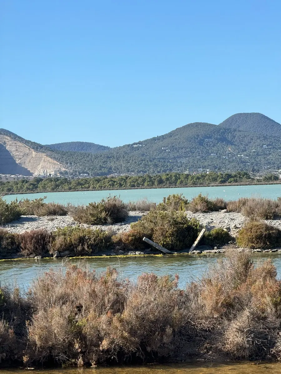 Turquoise shimmering salt basins of the Salinas with salt-tolerant vegetation and wooded hills on the way to Cap des Falco