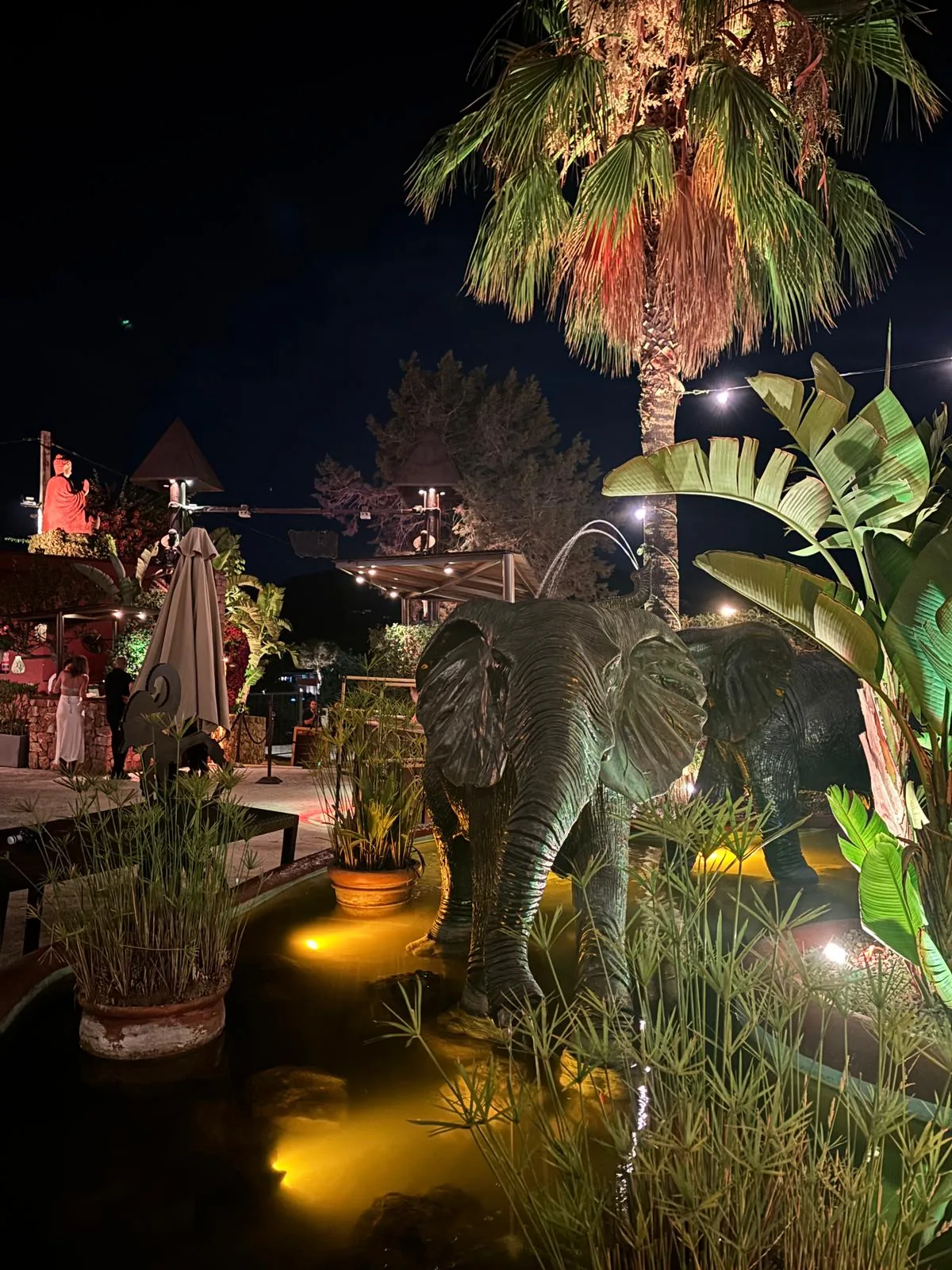 Gut besuchte Bar der Cova Santa bei Nacht mit Rattan-Lampen und Buddha-Statue im Hintergrund