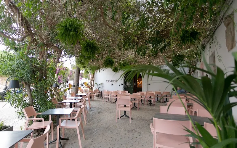 Cevitxef Ibiza