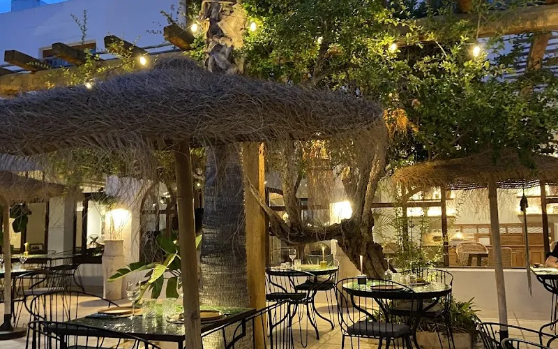Palm Ibiza