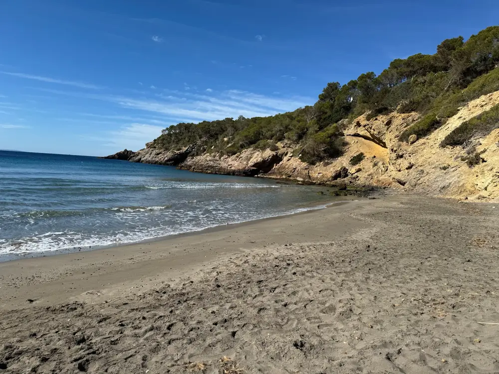 Breiter dunkler Sandstrand der Cala Boix mit pinienbewachsenem Kap und ockerfarbenen Felsen