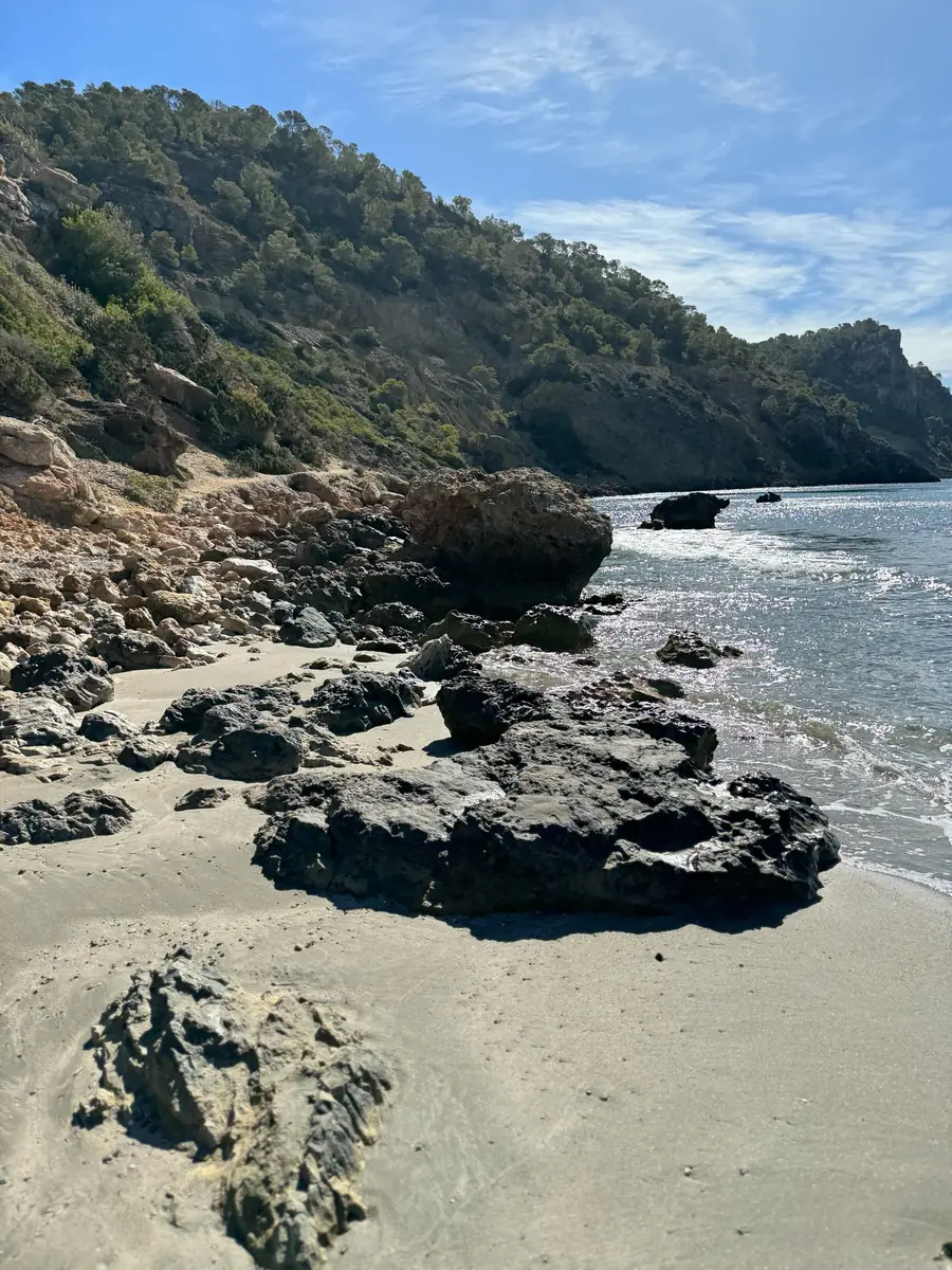 Dunkle, schwarze Vulkanfelsen auf dem grauen Sand der Cala Boix vor bewaldeter Steilküste