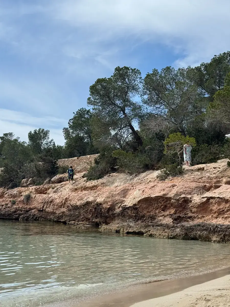 Rot-ockerfarbene Sandsteinfelsen mit Pinien am Rand der Cala Gracioneta