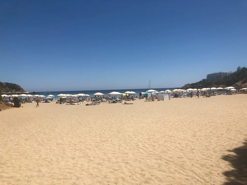 Wide, light sandy beach of Cala Llenya with parasols and loungers in midsummer