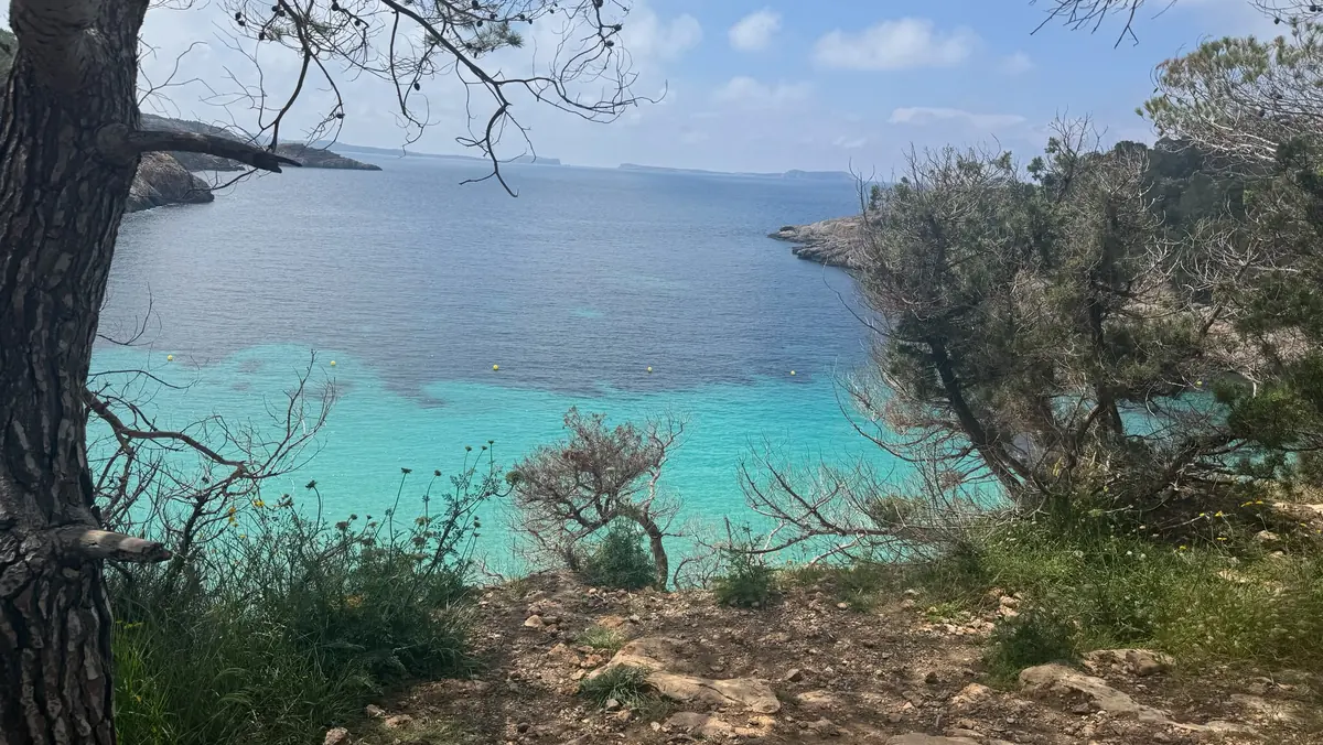 Vue à travers les pins sur l’eau turquoise éclatante de Cala Saladeta depuis le sentier