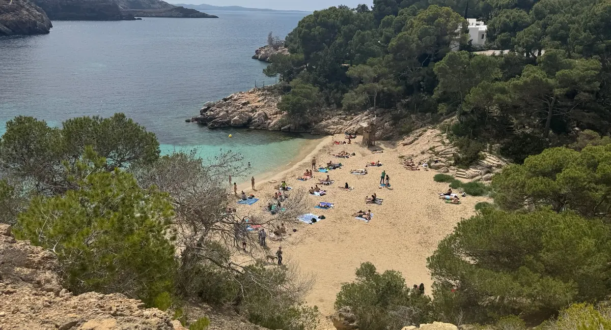 La petite Cala Saladeta, naturelle, avec son sable clair, son eau turquoise et des pins, vue d’en haut