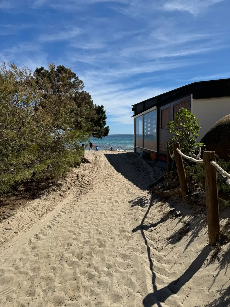 Sandy access to Ses Salines beach between pine trees and a beach restaurant, with a view of the turquoise sea