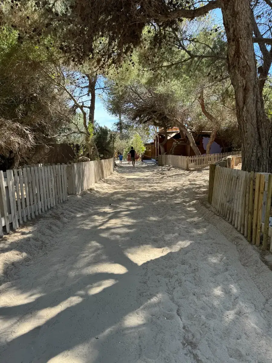 Shaded sandy path lined with wooden fences through the pine forest to Ses Salines beach