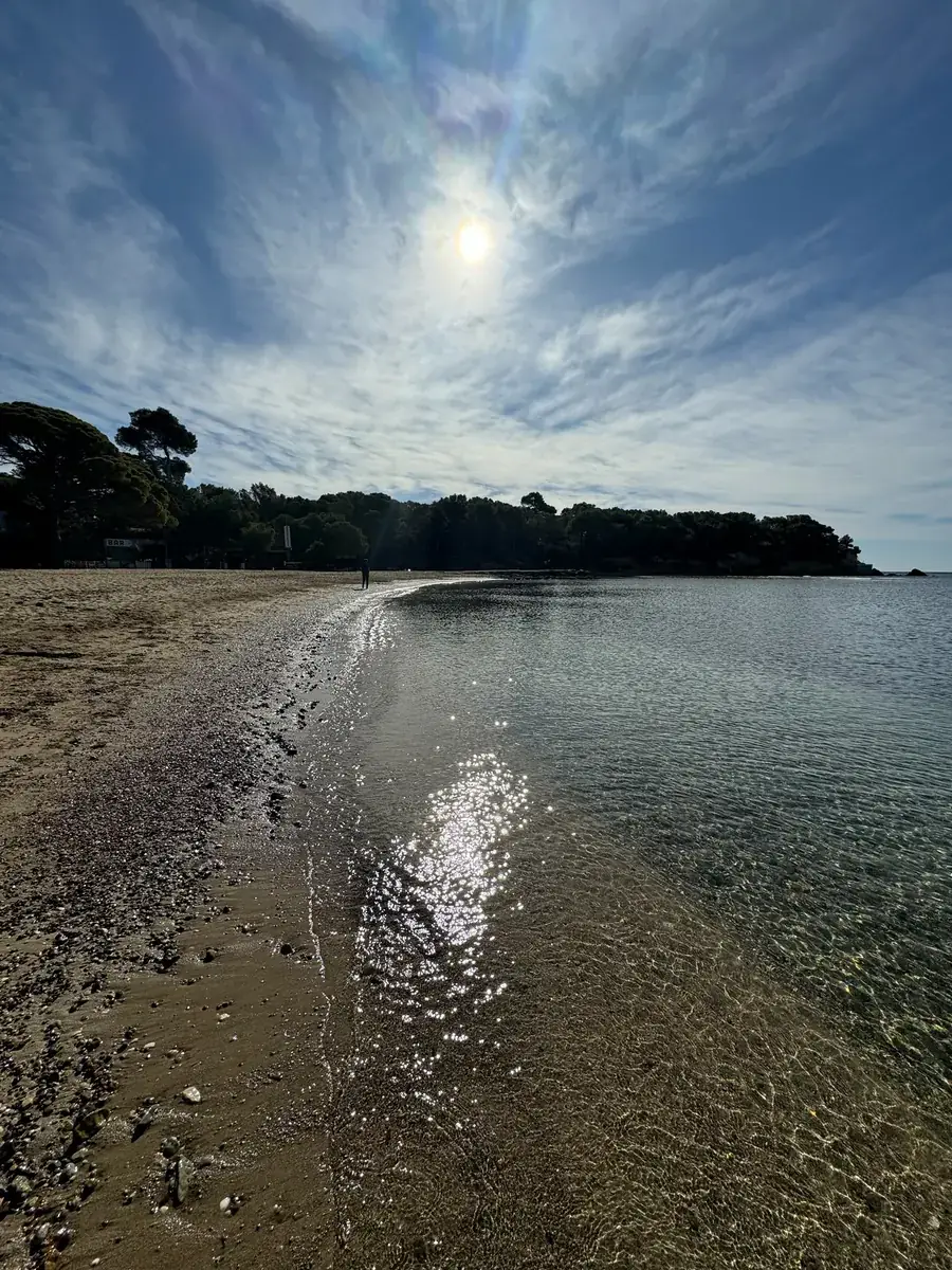 Kristalhelder, ondiep water aan de oever van de Niu Blau met zonreflectie, kiezelstrand en met pijnbomen begroeide kaap