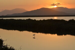 Parc Natural de ses Salines