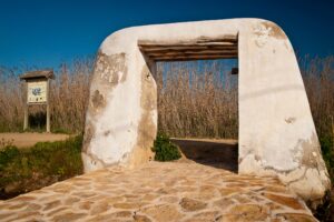 Prat de Ses Monges.Ibiza